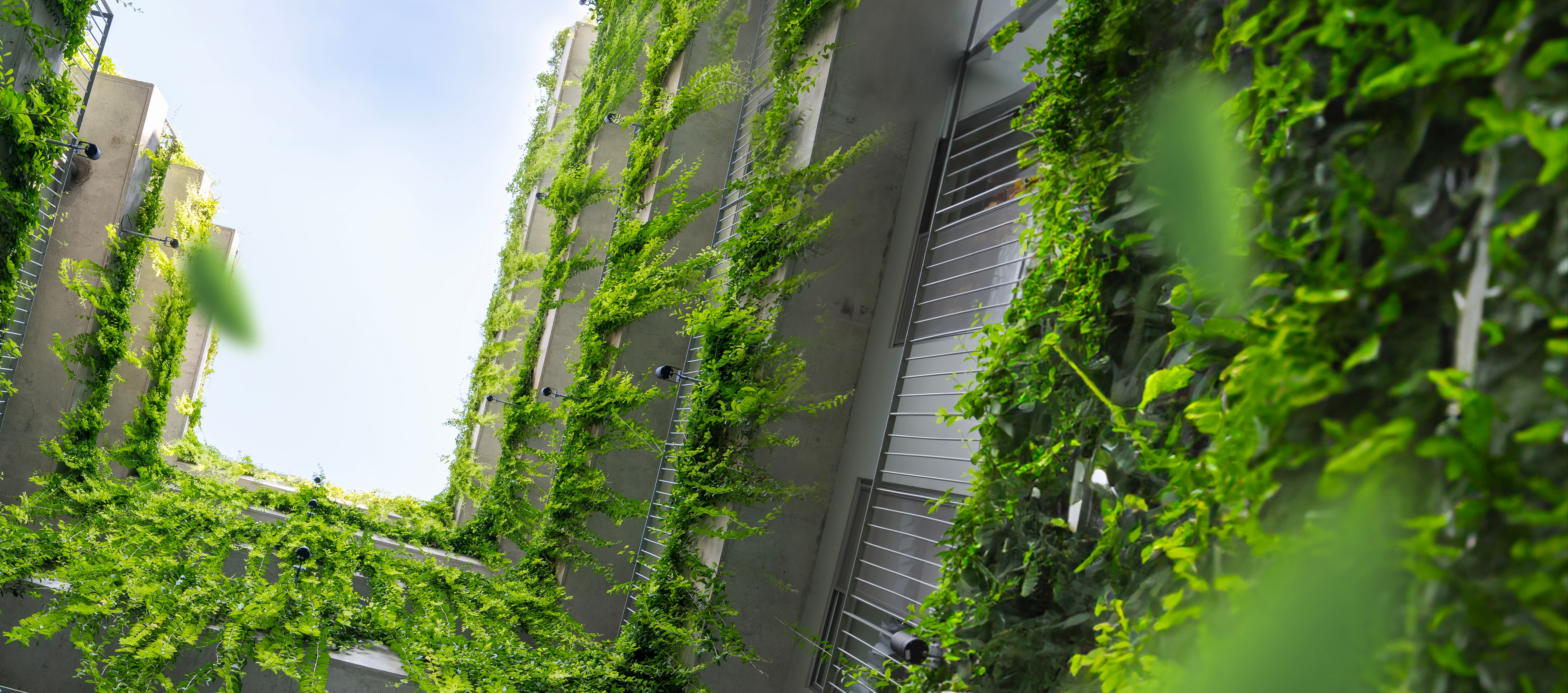 Không gian xanh Victoria School (1)